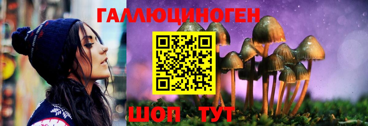 Галлюциногенные грибы мухоморы Белово